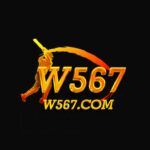 w567 game
