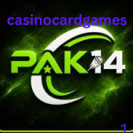 PAK14 Game